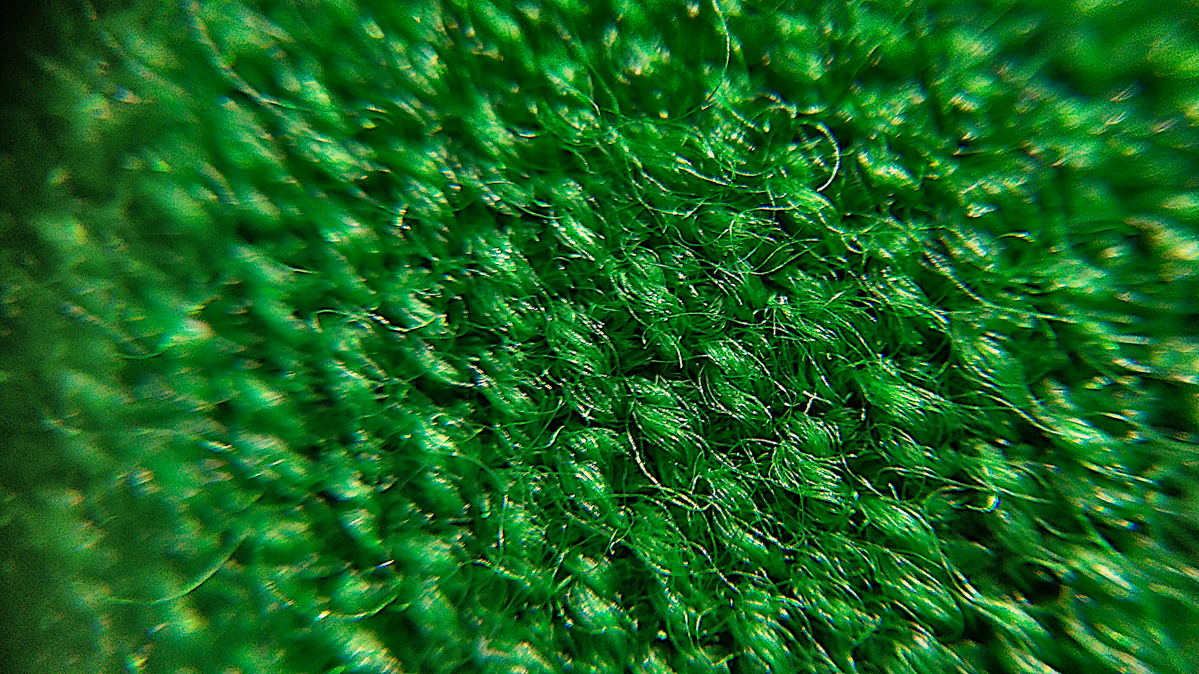 Close up picture of the weave of a pool table cloth. Image inhanced in gimp