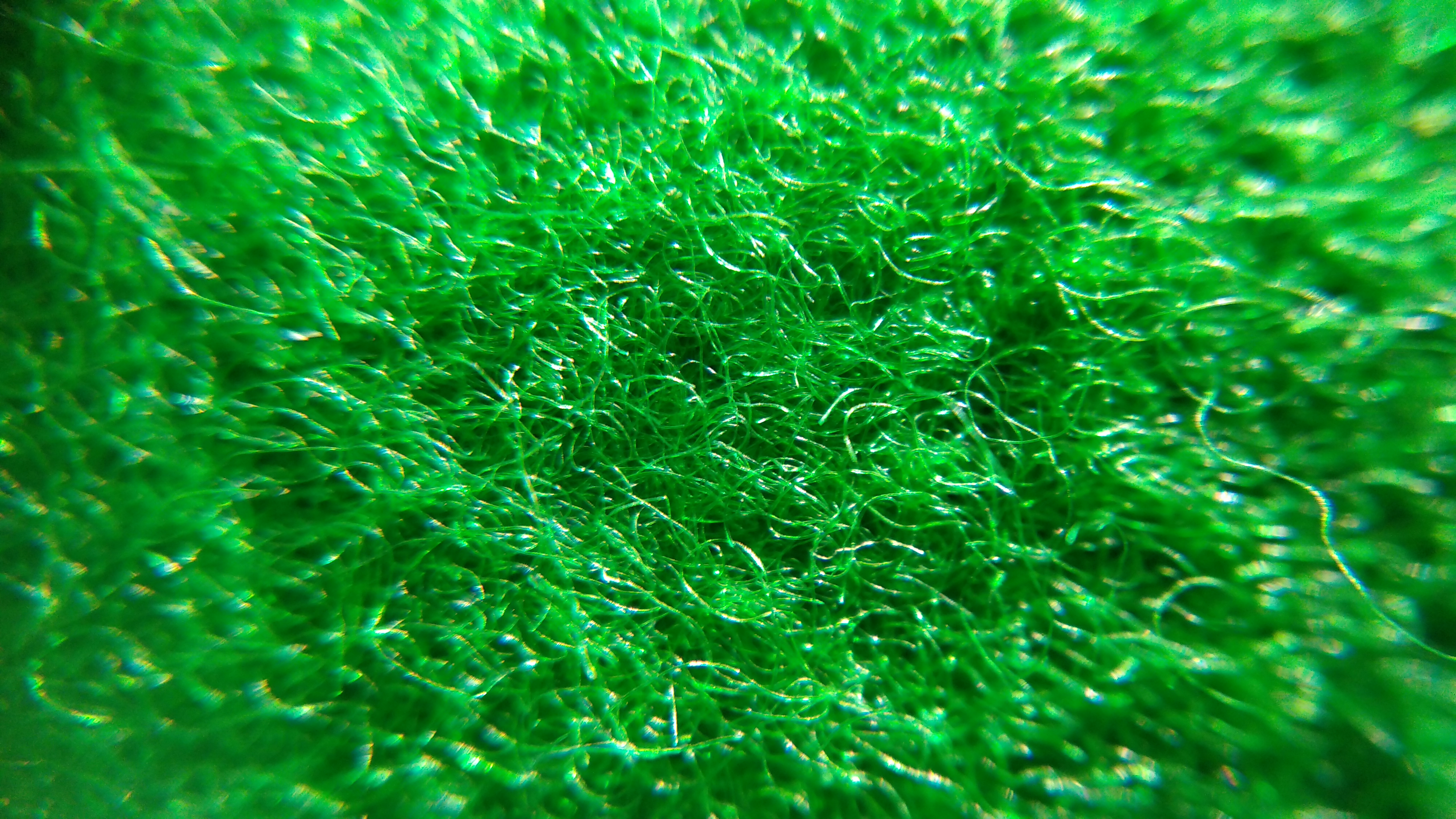 Heavy nap snooker table cloth, macro photograph