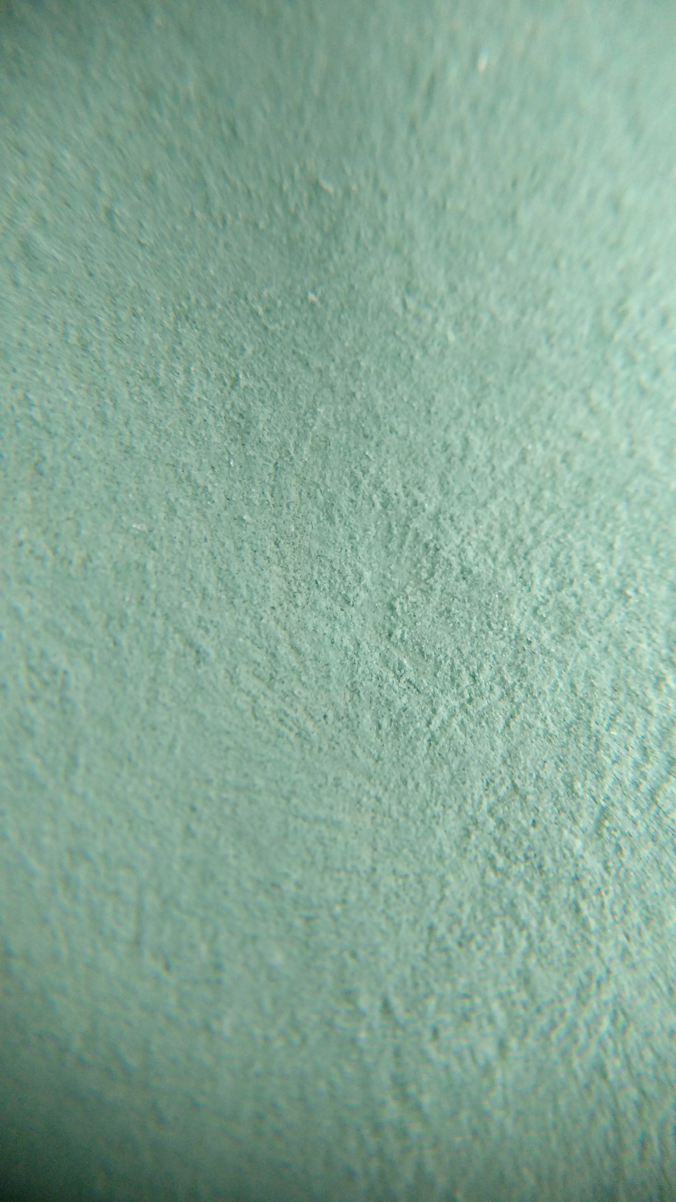 Taom chalk, macro photograph